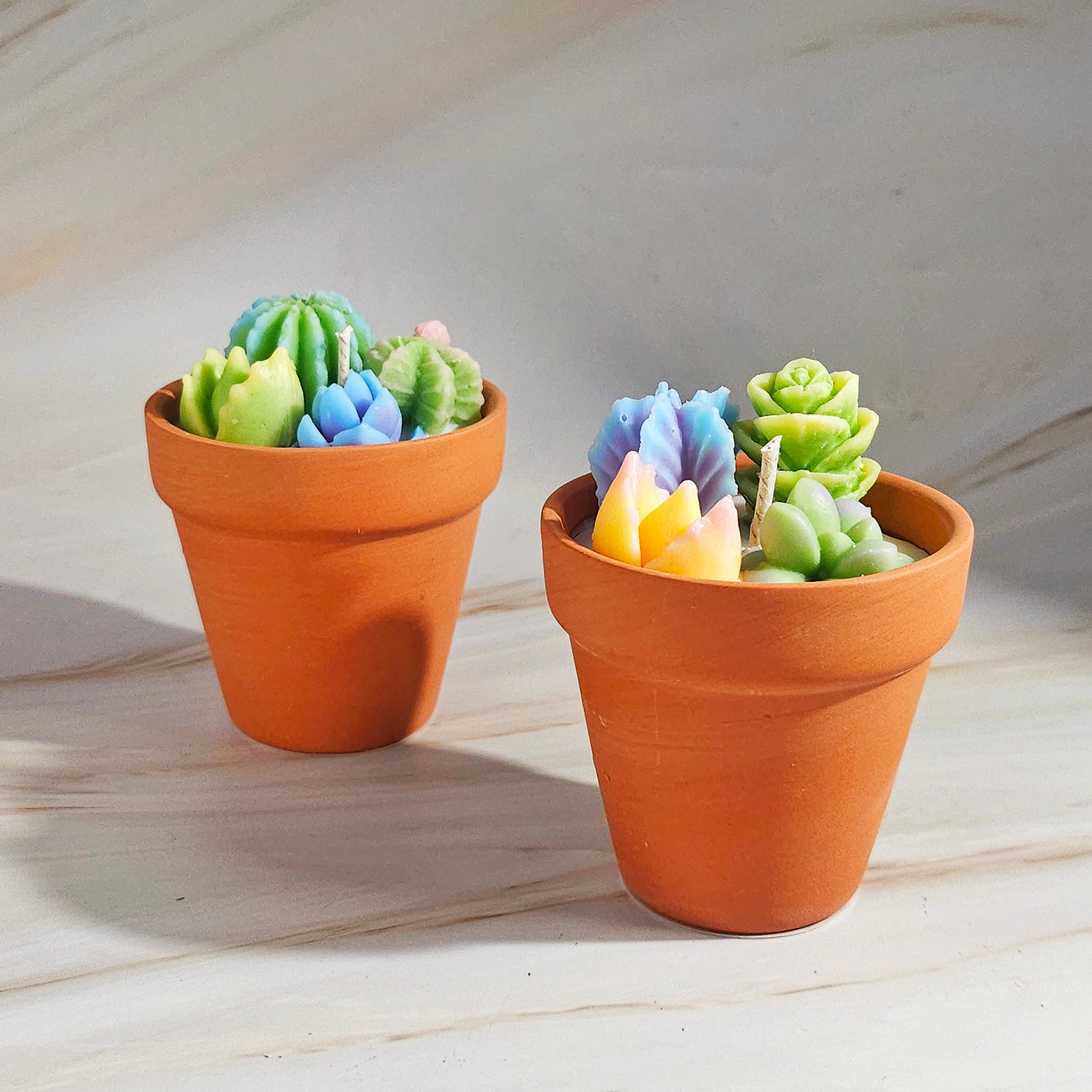 Cactus Candles Small Potted Succulent Candles