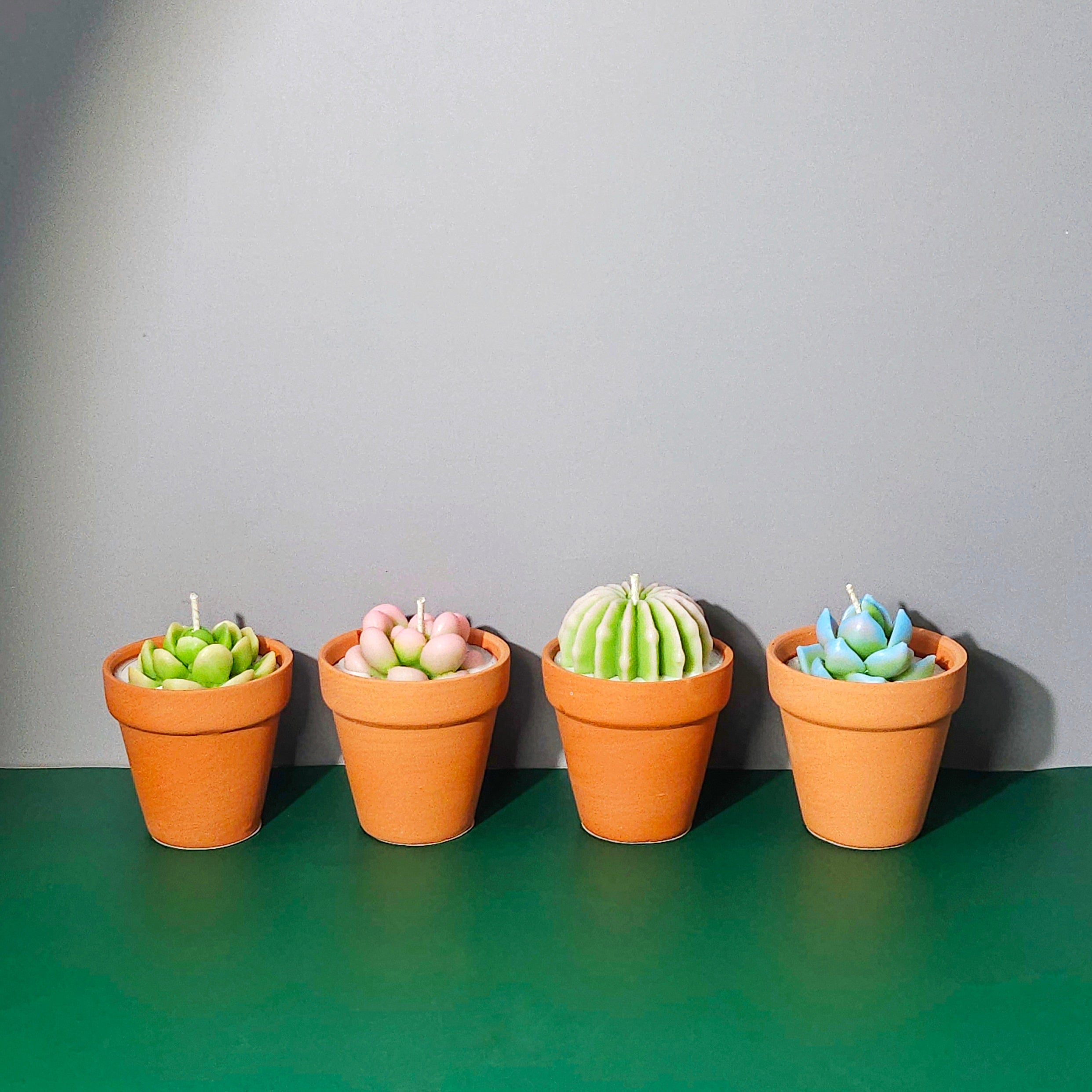 Cactus Candles Small Potted Succulent Candles