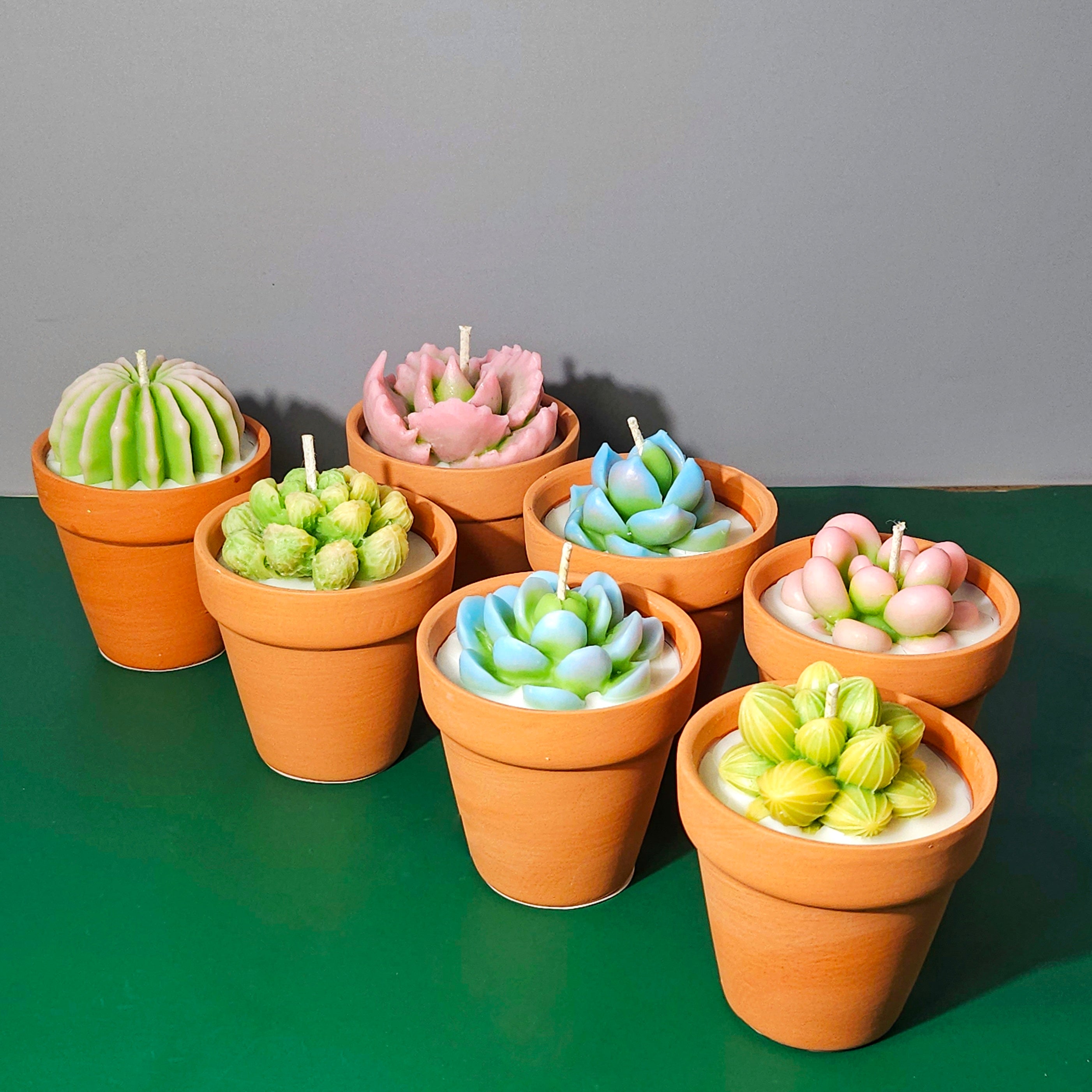 Cactus Candles Small Potted Succulent Candles