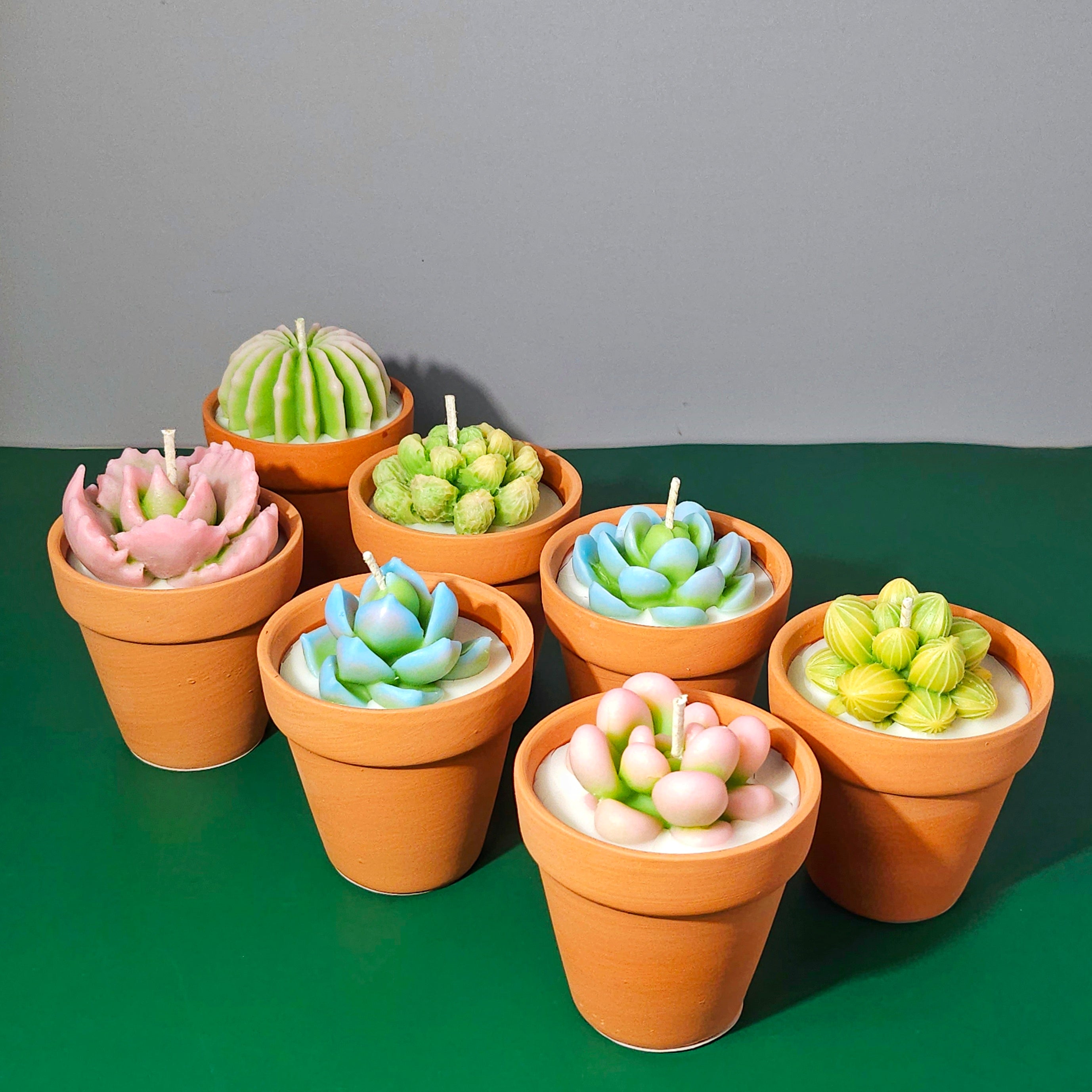 Cactus Candles Small Potted Succulent Candles