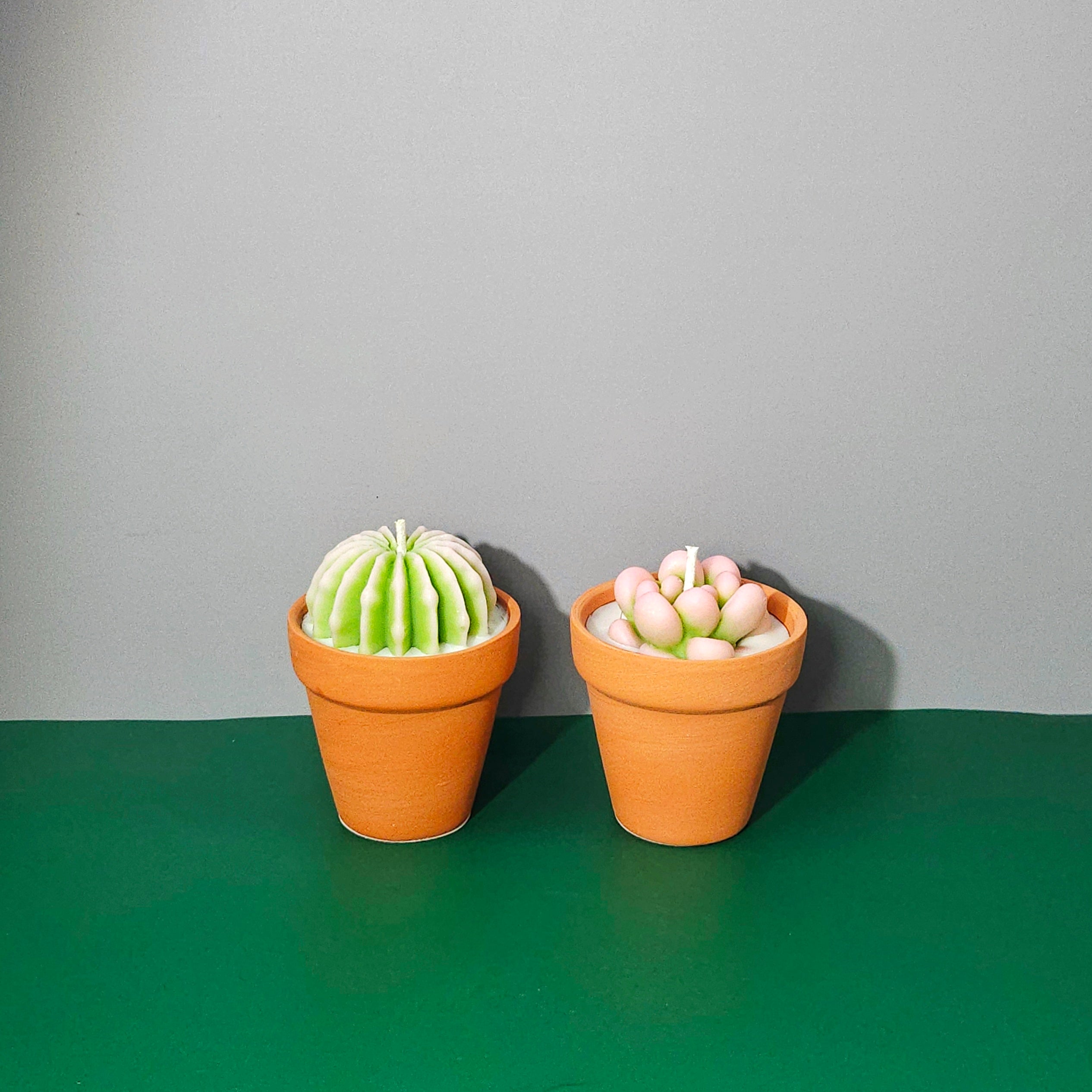 Cactus Candles Small Potted Succulent Candles