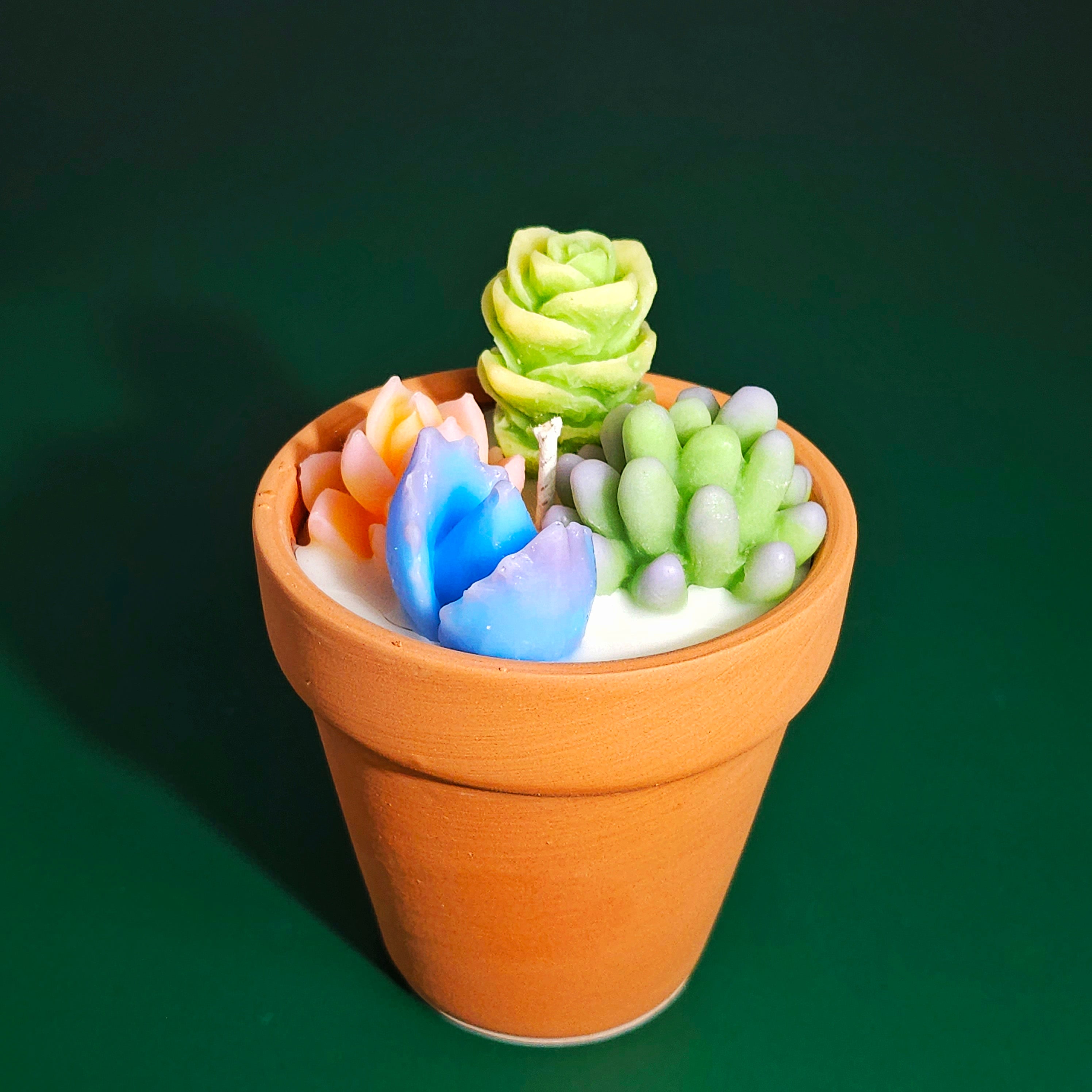 Cactus Candles Small Potted Succulent Candles