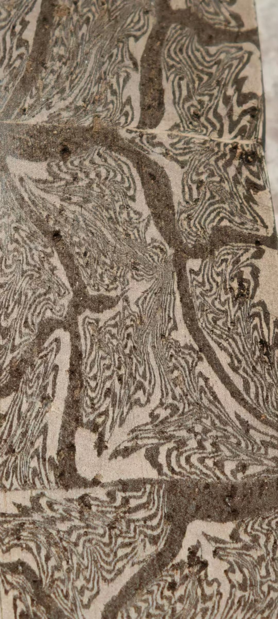 Howling Lynx ｜ Ceramic Swords