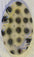 Touch Touch | Suction Cup Oval Colored Plate