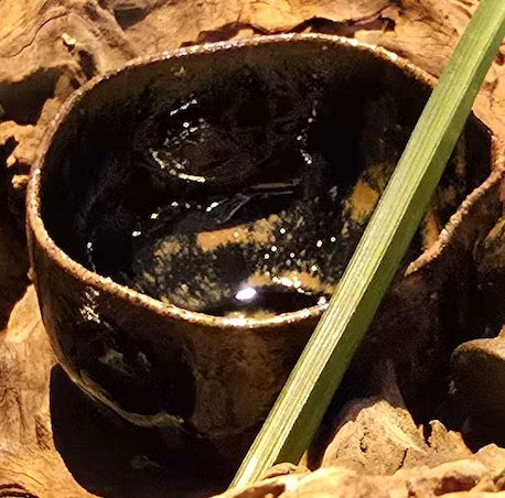 Kaiming Modern Arts | Master Cup