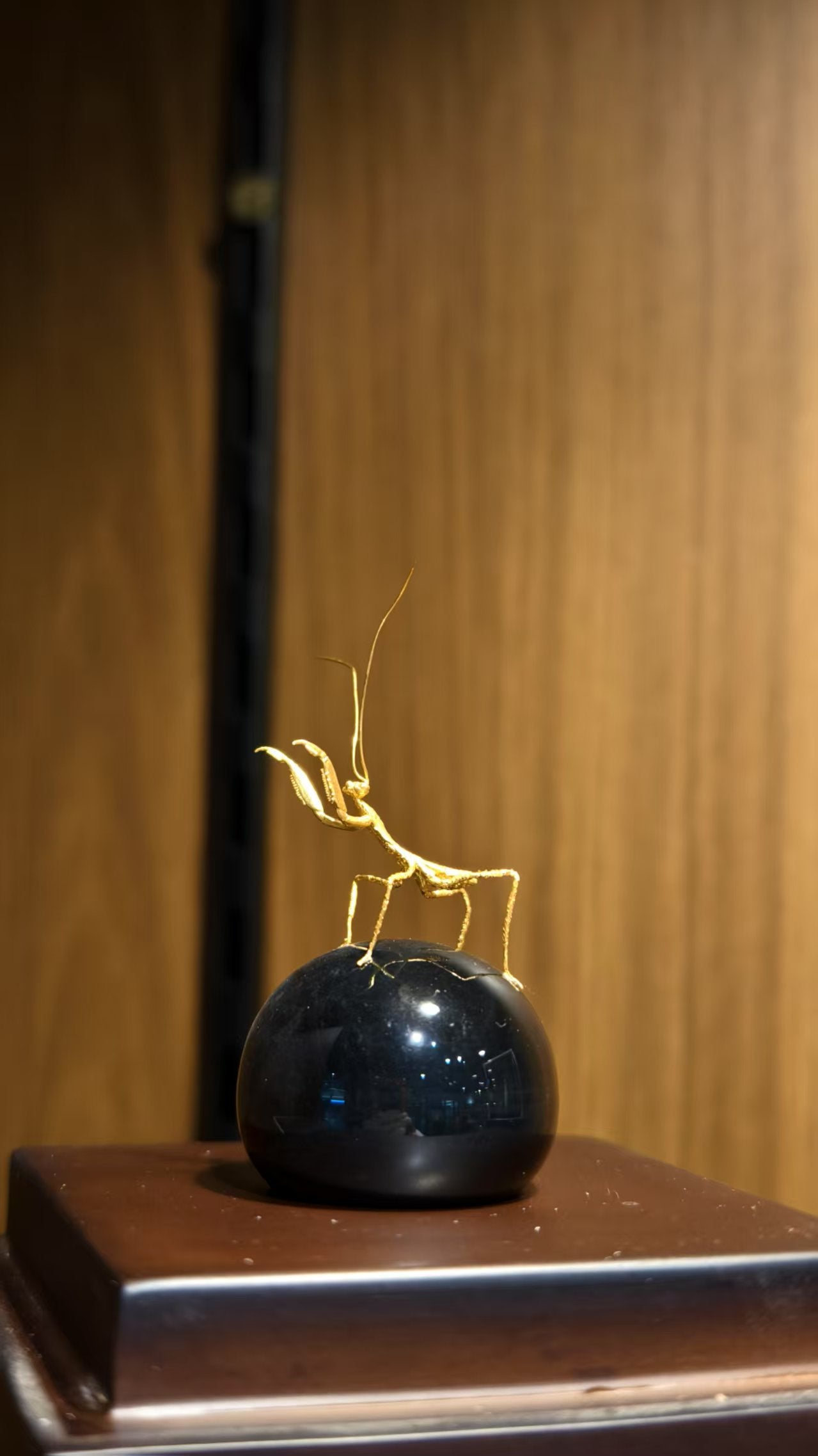 Libo | Celebrity Series | Wu Qing | Black Onyx Ant