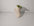 YOUJI | Apple Statue
