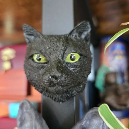 Custom Hand painted Cat Face