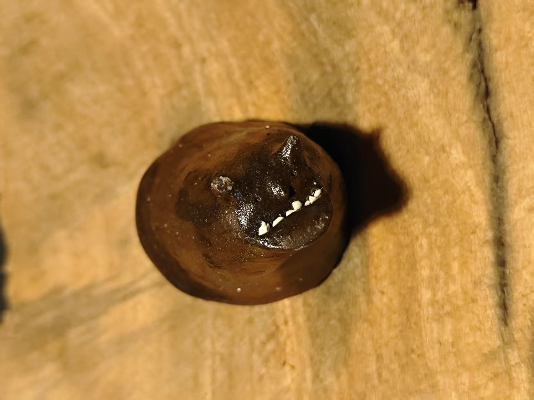 Spicy is OK | Ceramic Cup | Monster  Series