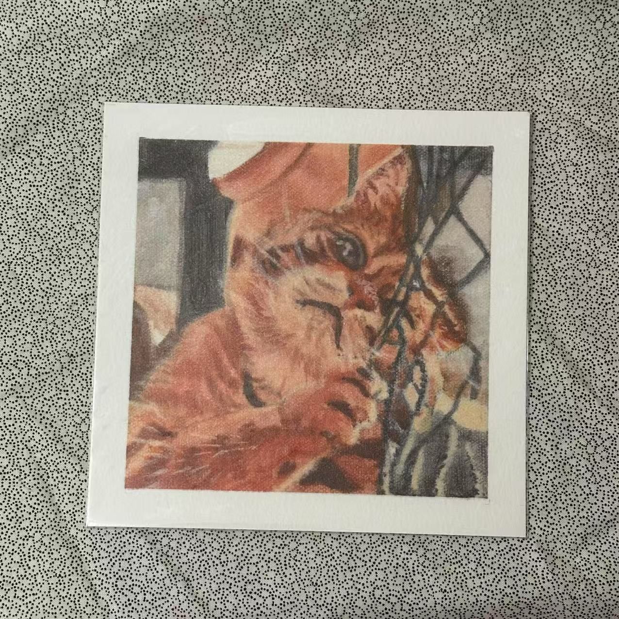 Multiple cat images. Prints of acrylic paintings. Choose the one you like