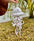 Large Jellyfish Plashies