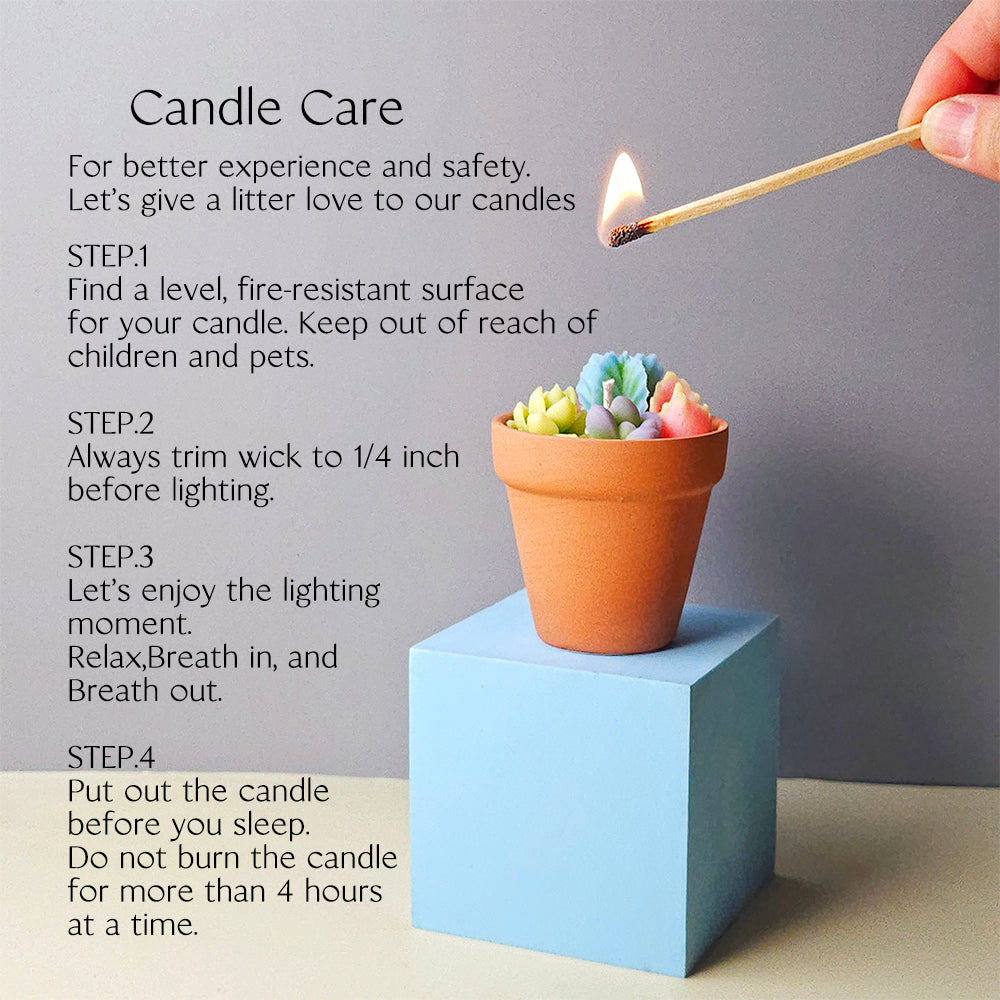 Cactus Candles Small Potted Succulent Candles