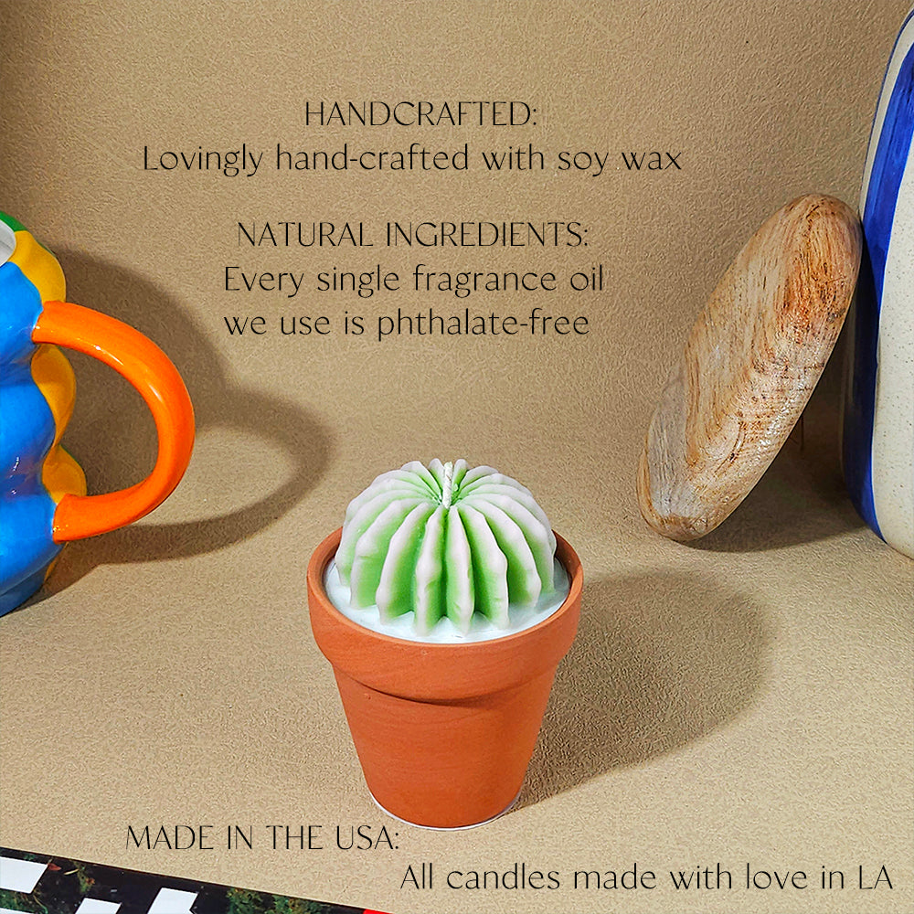 Cactus Candles Small Potted Succulent Candles